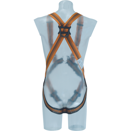 Harness ARG 30 EN361